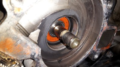 20150313_065910.jpg