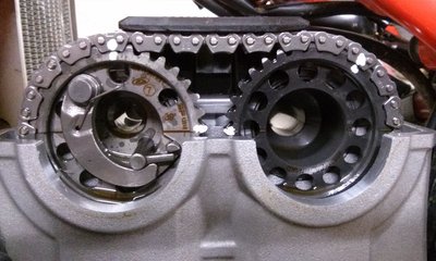 aac p5.jpg